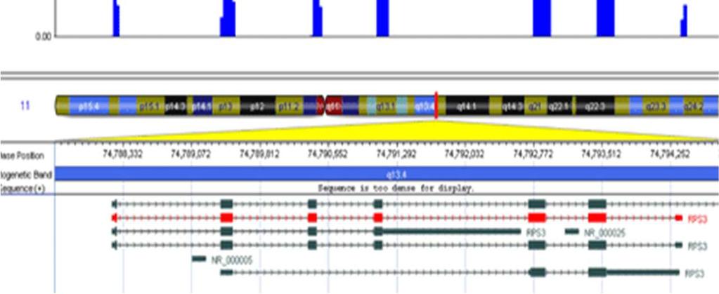 Measuring cdna: RNA-seq High-throughput sequencing allows us to sequence a representative sample of the cdna population directly Each sequence