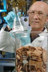 Biodegradable Plastics from Biomass Commercial bioplastic is already made from cellulose replacing petroleum-based plastics.
