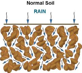 (EC<4, ESP > 15) Plants will not experience osmotic stress. Soil is dispersed, damaging soil structure. (EC>4, ESP > 15) Plants will likely experience osmotic stress.