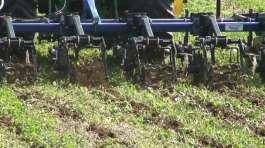 incorporated. Strip and vertical tillage were completed with a Blu-Jet Coulter Pro and a John Deere 2623 Vertical Tillage machine VT, respectively, on 15-May (Figure 1). Figure 1.