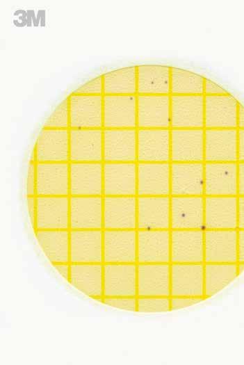 Interpretation Guide The M Petrifilm Environmental Listeria Plate is a sample-ready culture medium containing selective agents, nutrients, a cold-water-soluble gelling