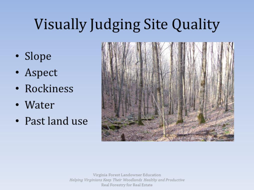 The next thing to look at is the landscape (these clues are best suited for folks selling land in the mountains) Check out the steepness of the property Steep slopes will have lower site quality than
