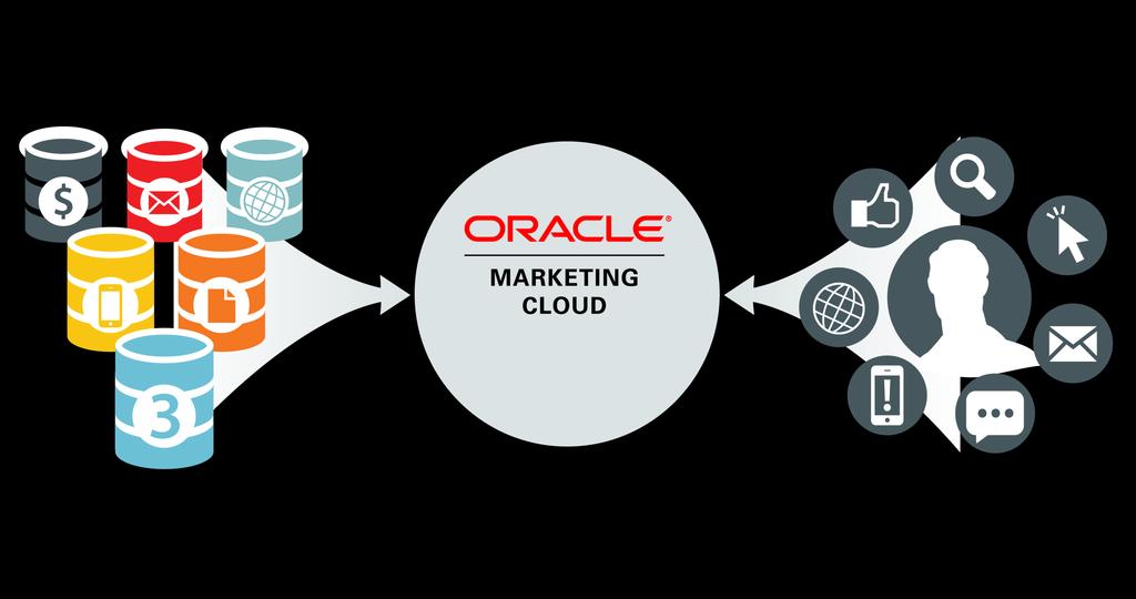 Break Down Marketing Silos: Optimize Digital Spend Streamline costs by avoiding duplicative marketing data and applications All Marketing Data