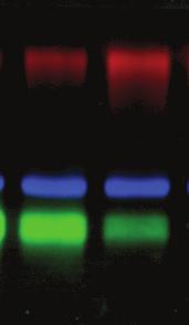Imaging Blue Excited DNA Dyes UV Fluorescence Visible Imaging Blue