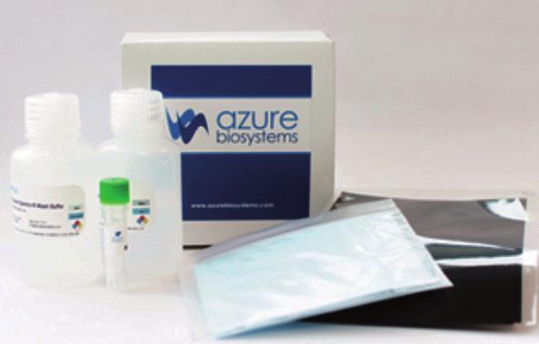 DEMO KITS AzureSpectra Demo Kit New to fluorescent Western blotting? Let us help you get started.