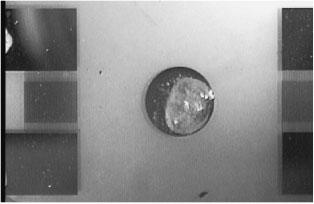 Agar-agar Water 2 mm Water (c) (d) (e) Fig. 2. Observed results of agar agar. The photograph is taken 60 s after is excited from left IDT. Applied voltages: 10, 15, (c) 20, (d), and (e) V P{P.