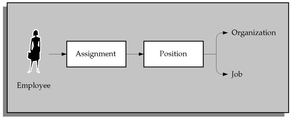 Figure 4 3 Position Based Assignments Because you focus on the use of positions and position hierarchies in this model you define organizations to show only the major divisions in your enterprise.