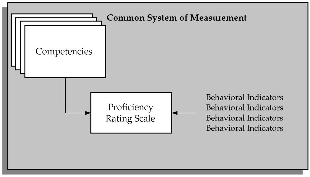 Rating Scales Figure 3 2 Common System of Measurement Rating scales are used to describe competencies in a general way.
