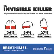 3 million air pollution-related deaths are due to household air pollution and another 3 million deaths are due to outdoor air pollution.