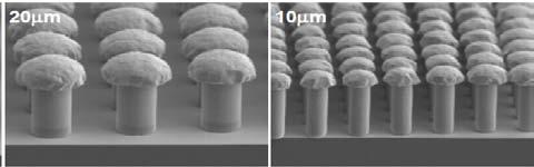 Fabrication for ultra fine pitch Cu pillar and substrate Cu