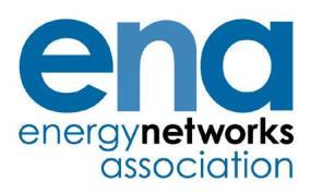 The Voice of the Networks Energy Networks Association Fair and Effective Management