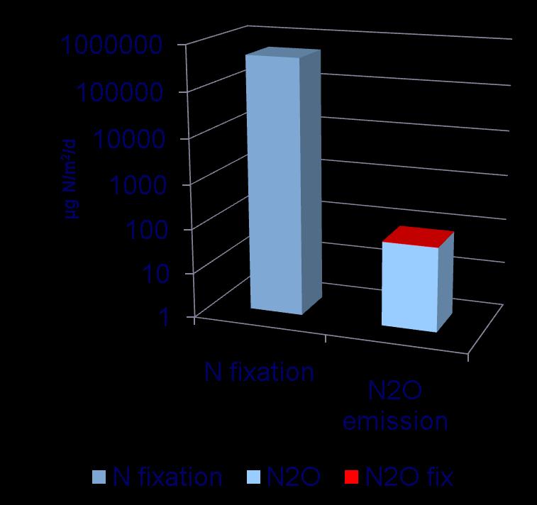 The contribution of N fixation to N 2 O emissions