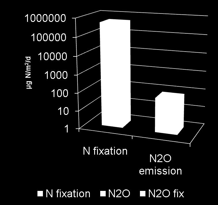 Allows direct measurement of N fixation and N 2 O
