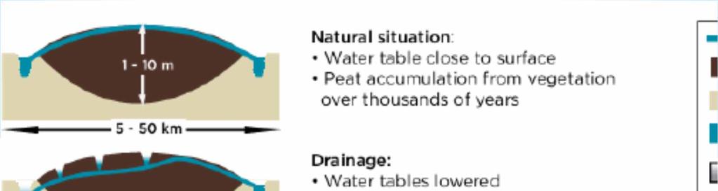 Emissions from peatland <Natural situation> Water table