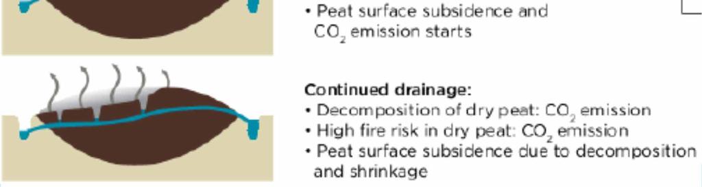emission starts <Continued drainage> Peat surface subsidence