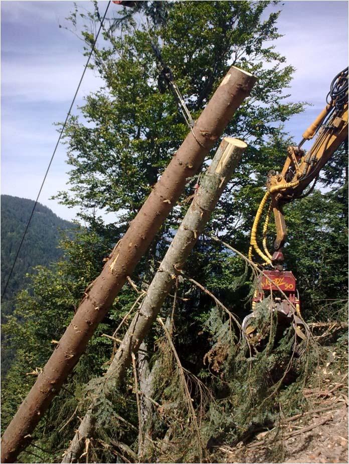 The operating conditions The crane on the road offer the possibility of harvesting downhill or uphill Whole tree are extracted and cut at road side with a harvester or