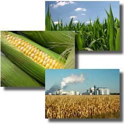 Regulatory Drivers for Ethanol as a Fuel Continued- Renewable Fuel Standard Program Section 211(o) of the Clean Air Act, as amended by the Energy Independence and Security Act of 2007 (EISA) requires