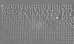 µm 1 µm T0.