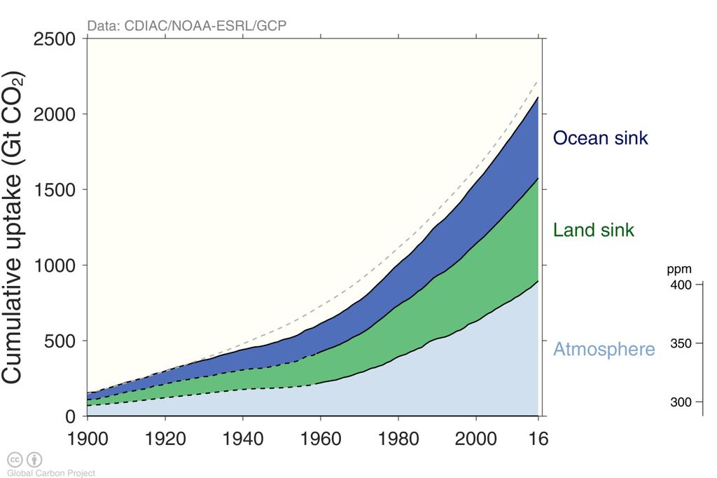 And cumulative sinks: atmospheric accumulation is more than half cumulative fossil fuel emissions