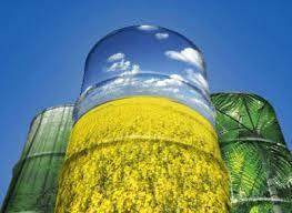 vegetable oils and animal fats; wood and straw; algae and organic waste and others.