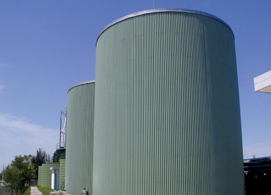 Biomass F 31
