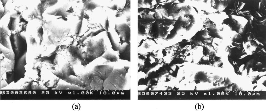 Fig. 7. (a) Crack on surface of F313 coating, (b) loosed metal phase grain of M313-2 coating impacted at 90, 50 m/s.