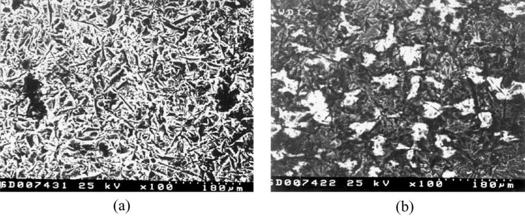 8(a) and (b) show the surface morphology of erosion worn M313, M601 coating at 90, 50 m/s respectively.
