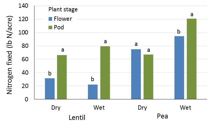 N fixation by lentil and pea in wet and dry years Dry year: 1 in May, 2.5 in June Wet year: 2.3 In May, 3.