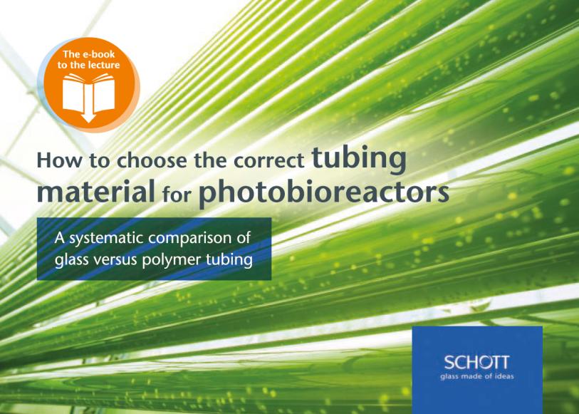 19 Summary 1. Glass tubular PBRs allow for stable and efficient algae production for many years. 2.