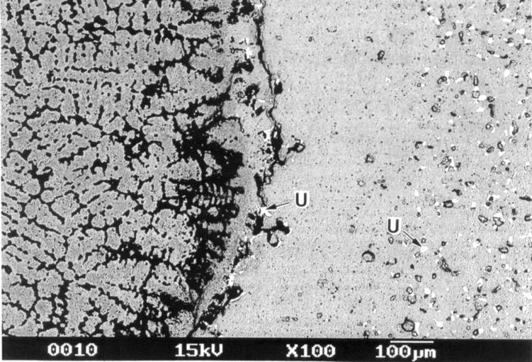 the HF-26 specimen (2200 o C, 853 s), showing U metal precipitates (U) at the interface and in the residual crucible, separated by a 300-µm U-free zone 3 UO 2 DISSOLUTION MODELLING Recently it was