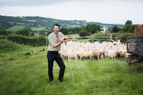 The lamb Farming Group places a sharp focus on animal welfare, environmental impact, and farm efficiency.