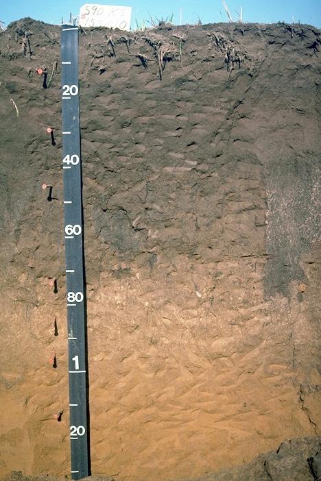 Soils as Carbon Reservoir Soils considered a carbon-reservoir since they can accumulate organic matter humus At 3% OM, a 6 deep acre slice* contains 30,000
