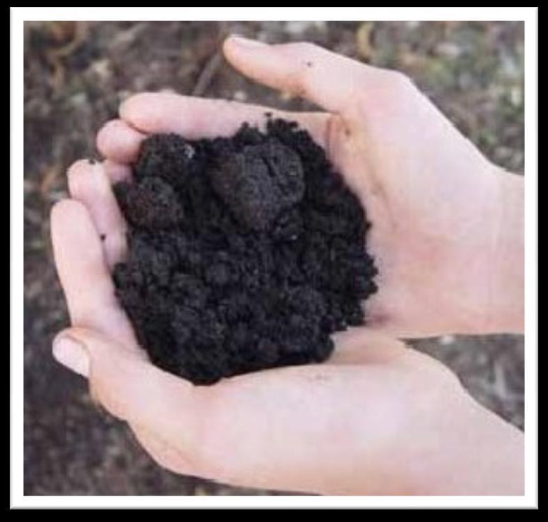 Compost Compost is the backbone of any soil building routine The best compost is made from a large diversity of materials Different microbes eat different materials so the greater the diversity in