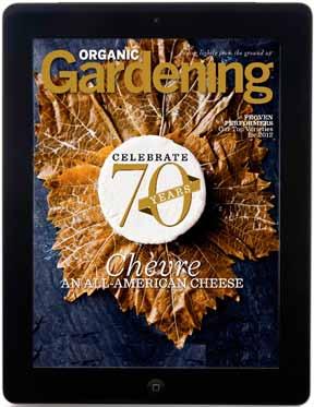 ipad Digital Magazine Edition In conjunction with the October 2011 rollout of Apple s Newsstand, Organic Gardening has been re-released on Adobe s Digital Publishing System production suite, offering