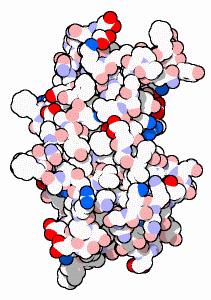 Mutations Changes to DNA are called mutations change the DNA changes the mrna may change protein