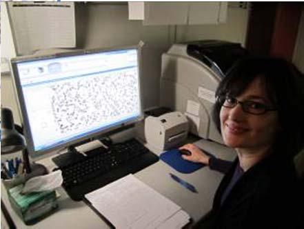 Immunohistochemical Quantitation HER 2 Cytotechnologist Review of Tissue Specimens: Tumor ID for