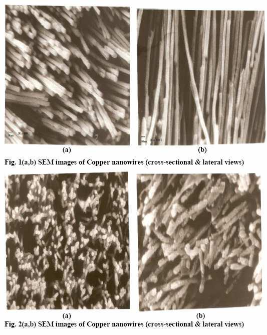 Electrodeposition of copper nanowires was achieved in polycarbonate template under identical conditions. The polymer template was dissolved in dichloromethane at room temperature.