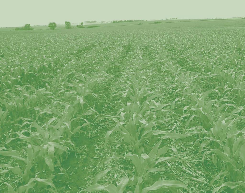 Consider the Strip-Tillage Alternative Resources Conservation Practices: Consider the Strip-Tillage Alternative is published by Iowa State University Extension, with funding support from the USDA