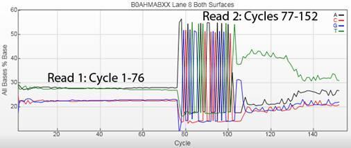 B. SMART Adapter in Illumina Primer 2 Read The use of blocked PCR primers is especially useful when preparing cdna for library construction on next-generation sequencing platforms.