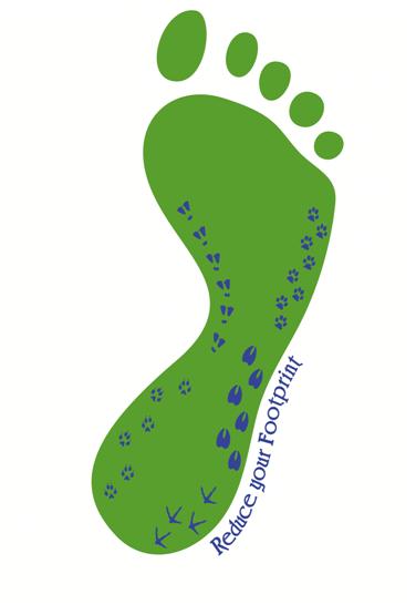 Ecological footprint = the productive area of Earth needed to support one person in a