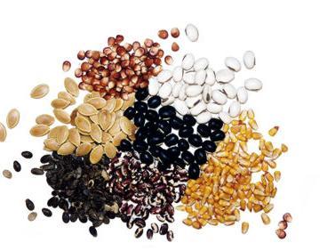INDIAN SEED
