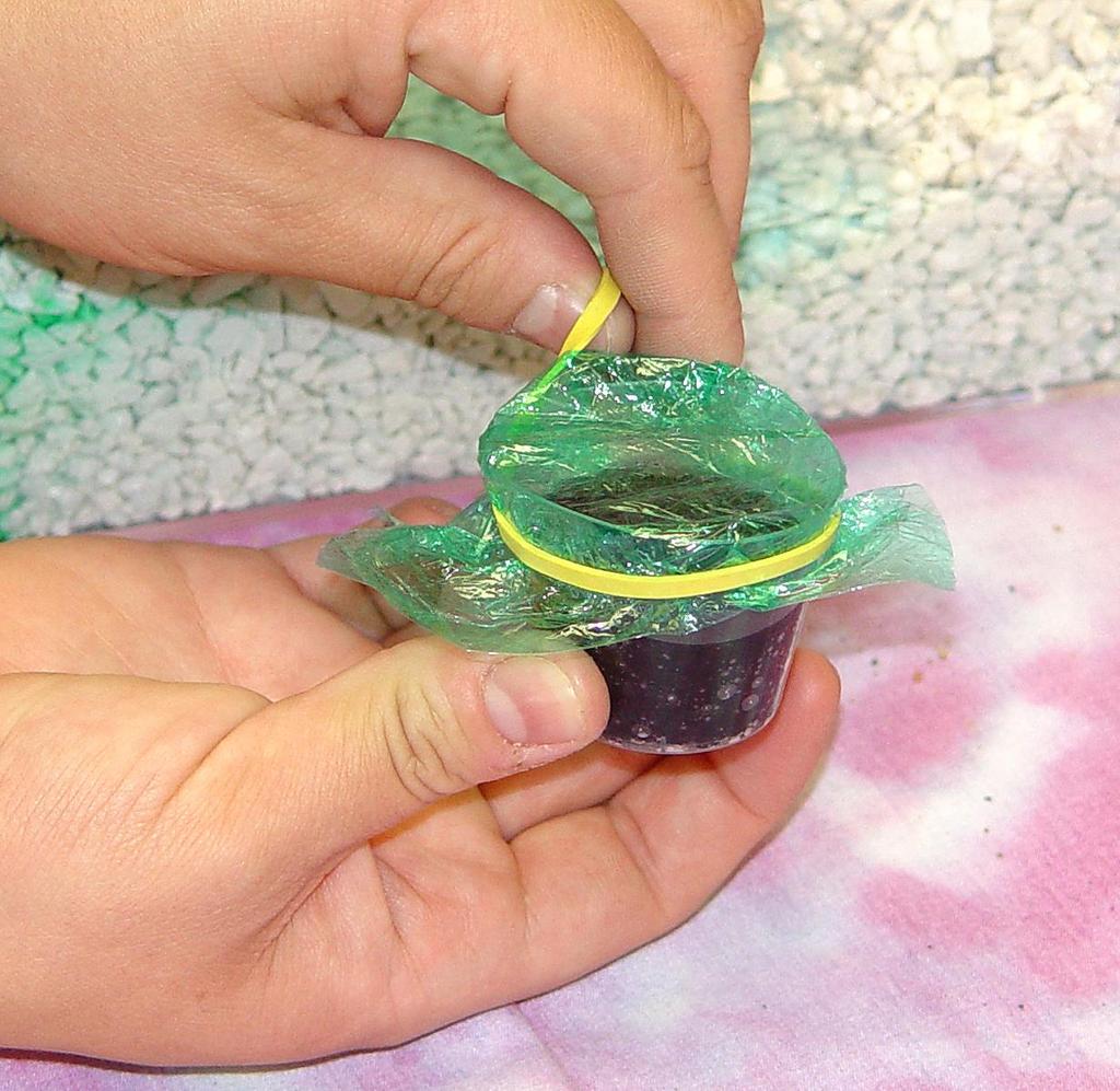 Make a lid with cling wrap. This represents a groundwater remediation plant.