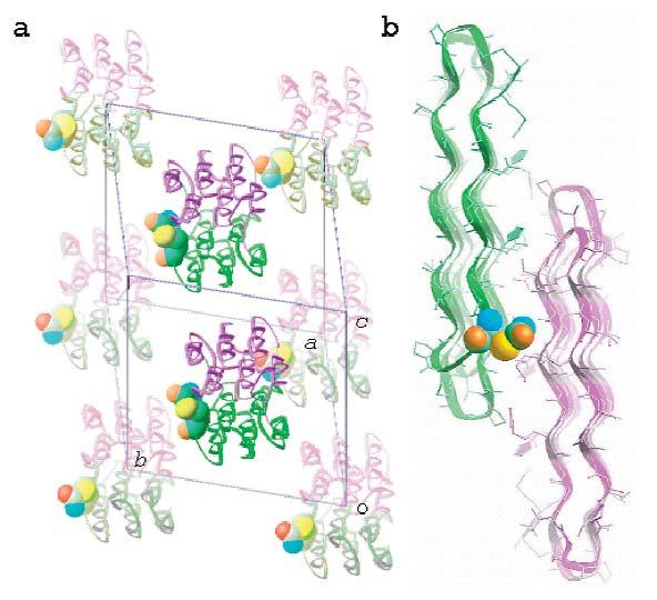 3. Racemic protein crystallography for the determination of X-ray structures of novel proteins Chemical synthesis by modern ligation methods has enabled the facile preparation of mirror image protein