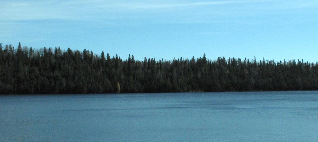 Policy highlights: water Environmental Lake Capacity New requirement Policy 2.2.1.