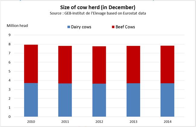 The French beef cow herd has increased in 2014 TheFrenchbeefcowherdincreasedby0.8%in2014,to4.14millionhead.