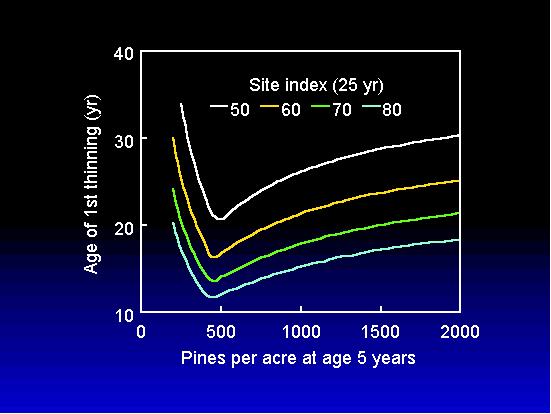 Results of the simulations indicate that the earliest ages of a first thinning occur when 5th-year pine densities equal 450 to 500 trees per acre (Figure 7).