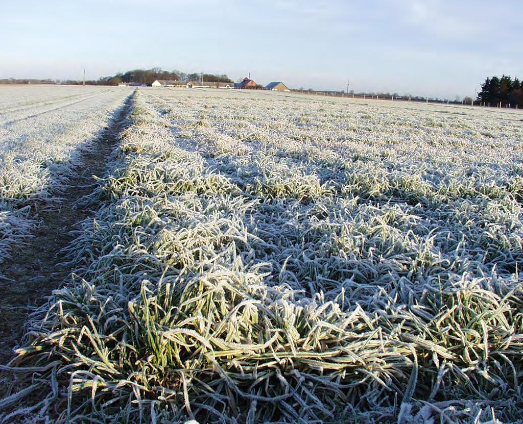 GRASSHANCER FROST SEEDING FORMULA Frost seeding is an excellent method to Grasshance.