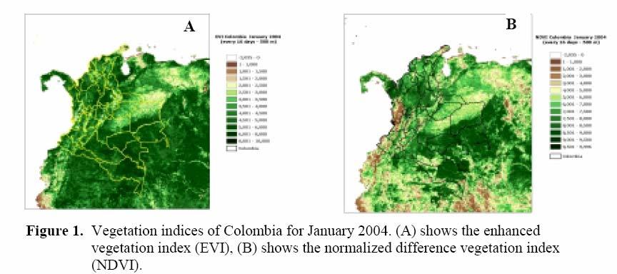 CIAT downloads MODIS every 2 weeks for all of South America