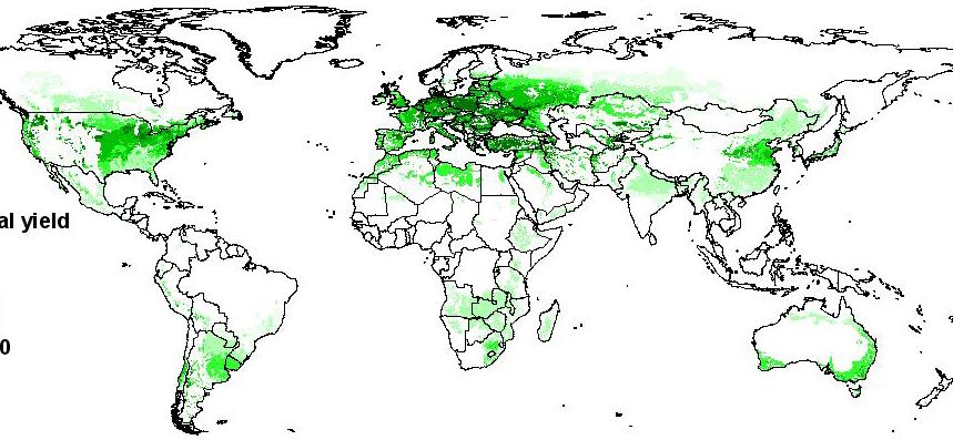 THE GLOBAL GEOGRAPHY OF CROP PRODUCTION The global distribution of crops is