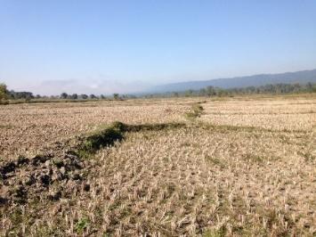 days crop cycle Rice 1.Boro rice Feb May 2.
